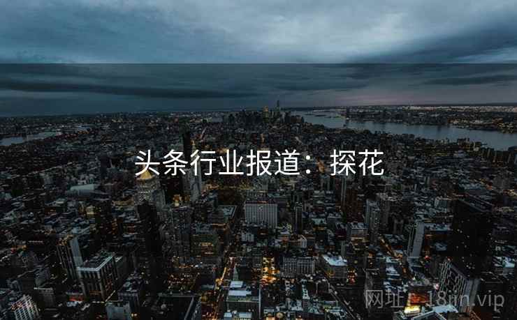 头条行业报道：探花