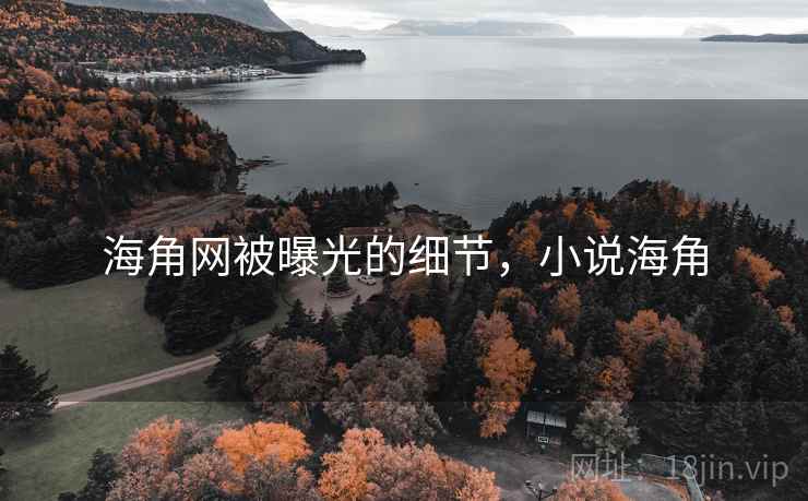 海角网被曝光的细节，小说海角
