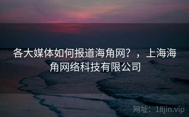 各大媒体如何报道海角网？，上海海角网络科技有限公司