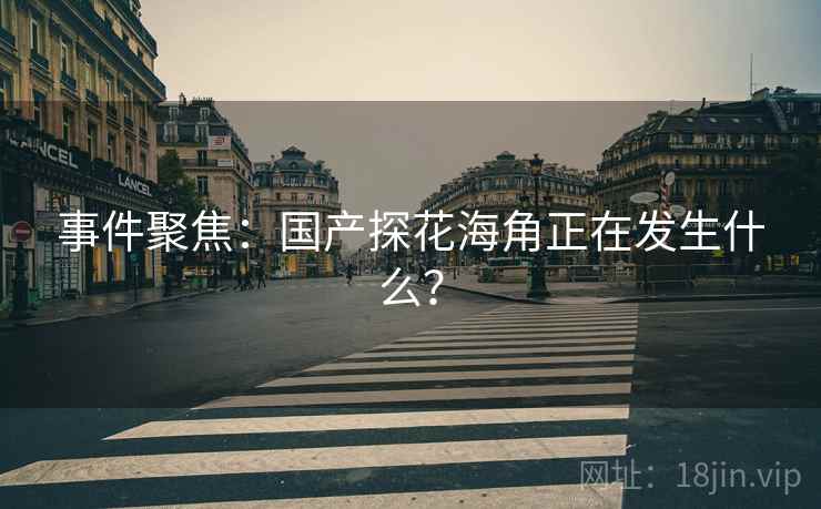 事件聚焦：国产探花海角正在发生什么？