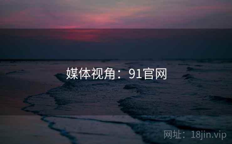 媒体视角：91官网