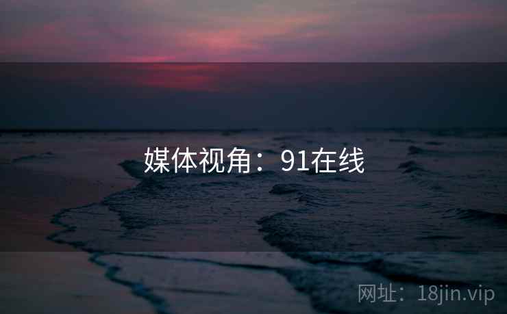 媒体视角：91在线